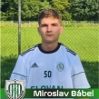 Miroslav Babel